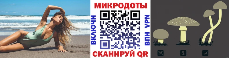 магазин продажи   Гай  ссылка на мегу рабочий сайт  Галлюциногенные грибы MAGIC MUSHROOMS 