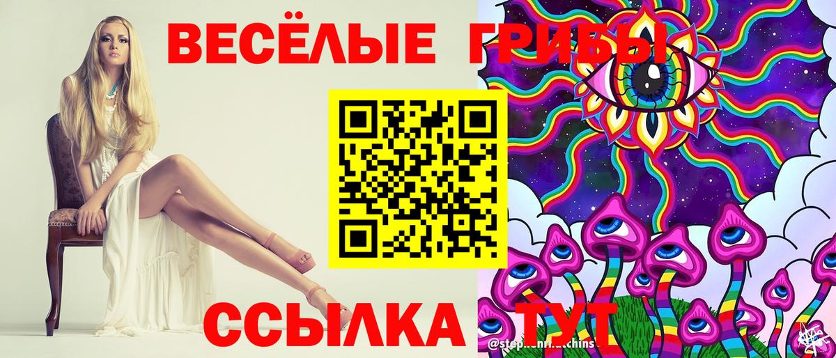 Галлюциногенные грибы Psilocybine cubensis  Вход с VPN  Гай 