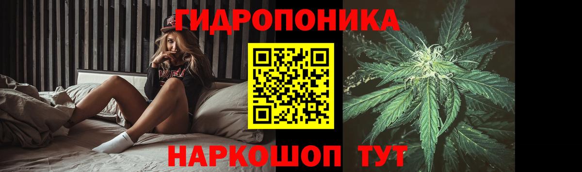 Шишки марихуана Amnesia  Конопля семена  Канабис сатива  Вход с VPN  Гай  Марихуана семена 